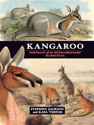 cover image of Kangaroo